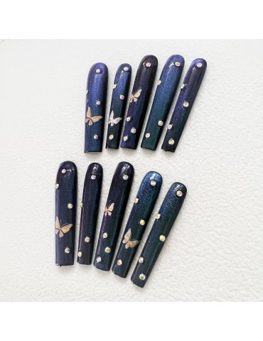 Butterfly's blue fantasy
