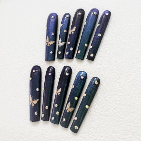 Butterfly's blue fantasy